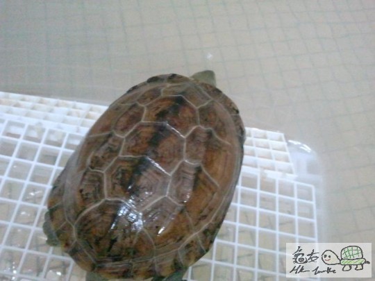 2012-02-14 13.04.18.jpg