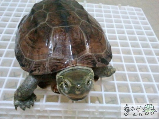 2012-02-14 13.04.36.jpg