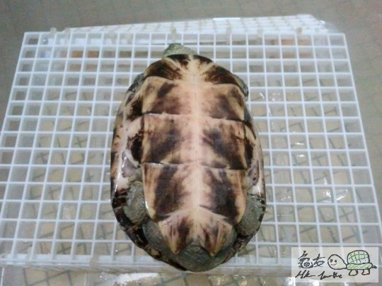 2012-02-14 13.04.47.jpg