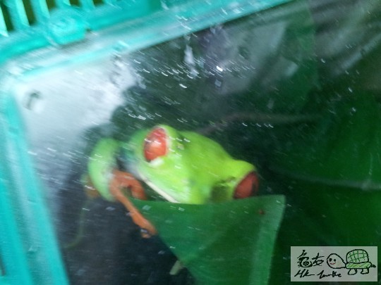 2012-02-22 16.48.20.jpg