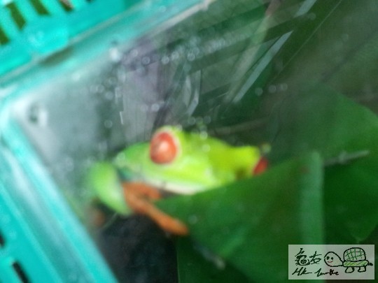 2012-02-22 16.48.28.jpg