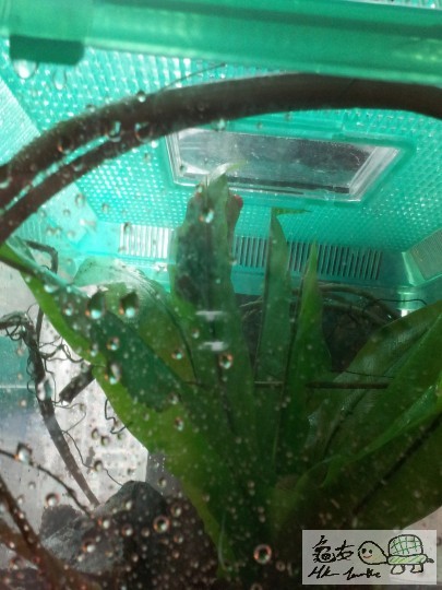 2012-02-22 16.49.01.jpg