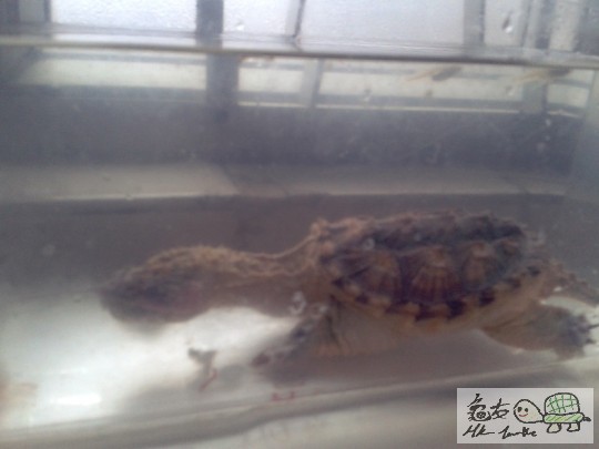 2012-02-24 16.40.26.jpg