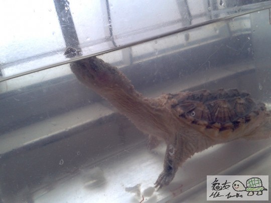 2012-02-24 16.41.02.jpg