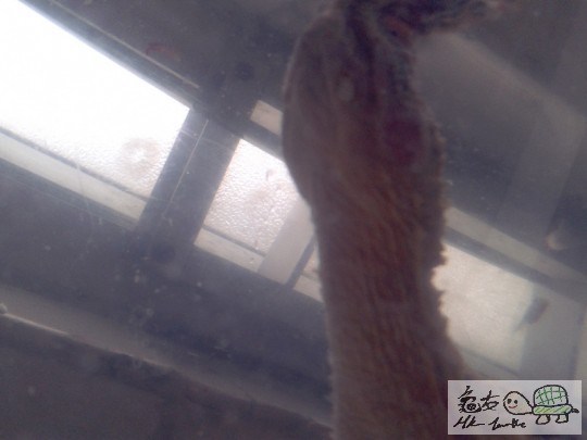 2012-02-24 16.41.08.jpg