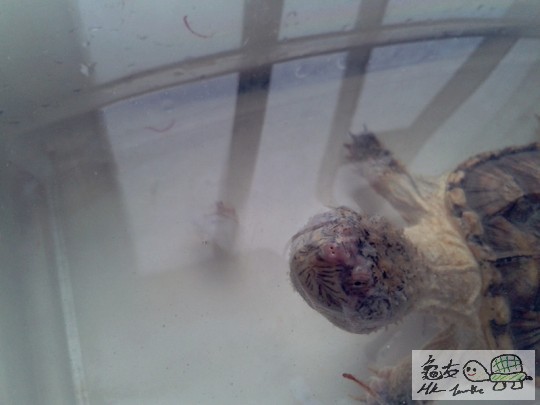 2012-02-24 16.41.13.jpg