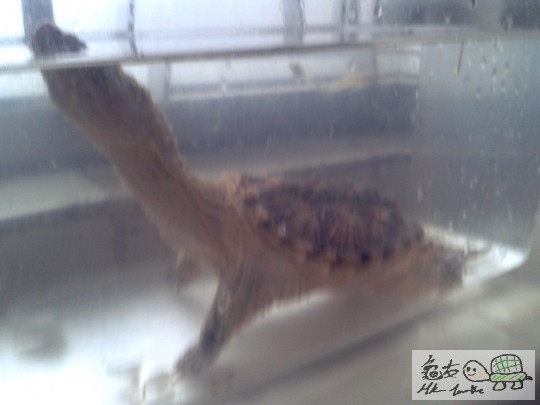 2012-02-24 16.41.22.jpg