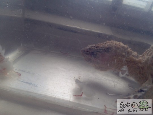 2012-02-24 16.42.27.jpg