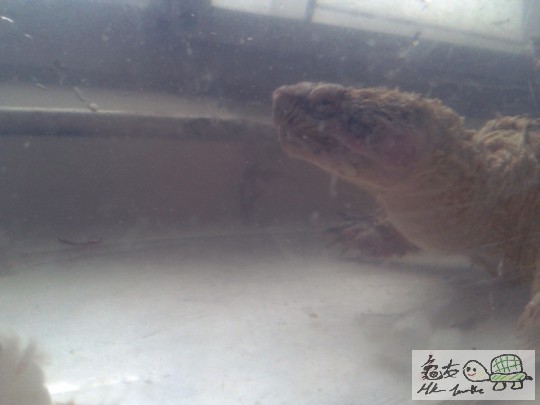 2012-02-24 16.42.34.jpg