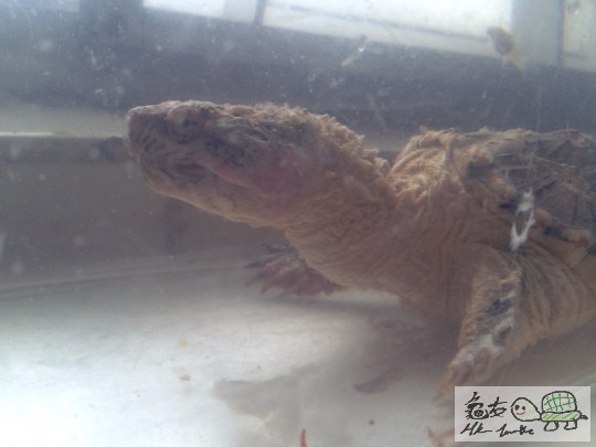 2012-02-24 16.42.42.jpg