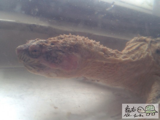 2012-02-24 16.42.50.jpg