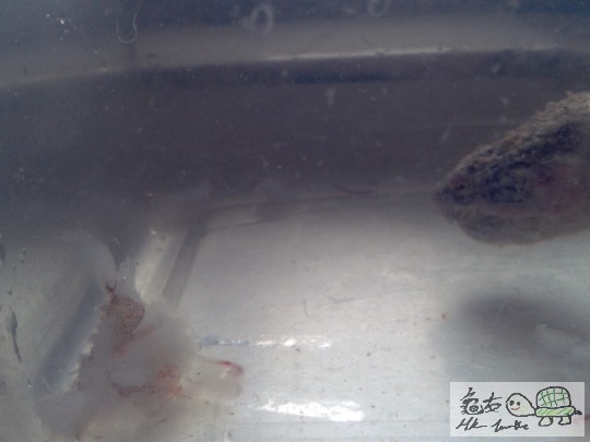 2012-02-24 16.43.04.jpg