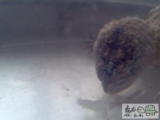 2012-02-24 16.43.07.jpg