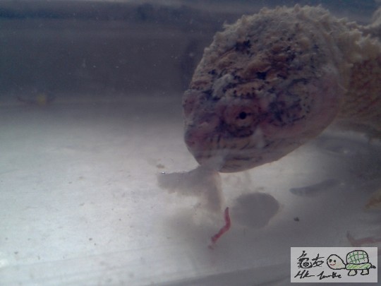 2012-02-24 16.43.19.jpg