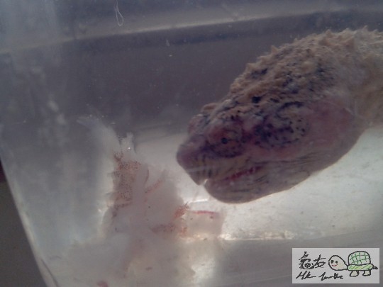 2012-02-24 16.43.23.jpg