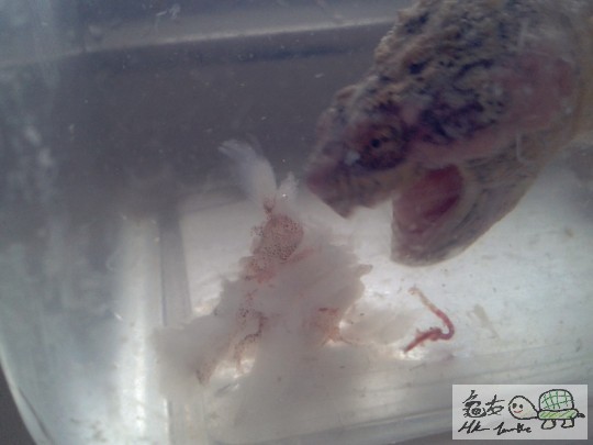 2012-02-24 16.43.29.jpg