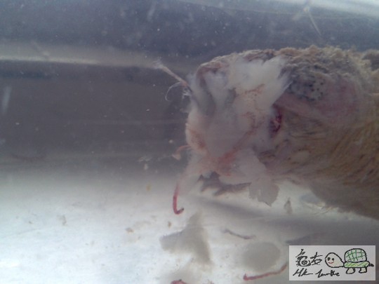 2012-02-24 16.43.32.jpg