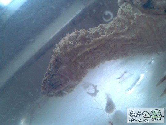 2012-02-24 16.48.05.jpg