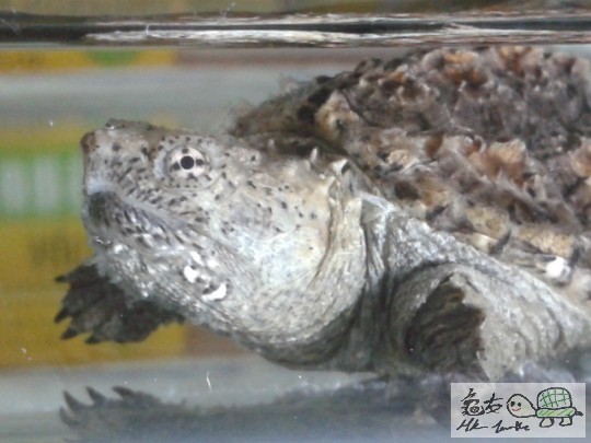 2012-02-28 20.31.07.jpg