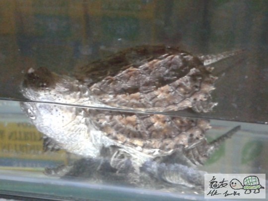 2012-02-28 20.31.47.jpg