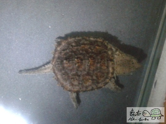 2012-02-28 20.32.33.jpg