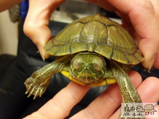 IMG113 (640x480).jpg