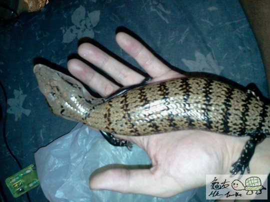 2012-03-16 11.23.10.jpg