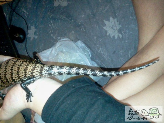 2012-03-16 11.23.18.jpg