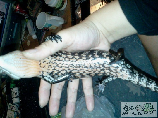 2012-03-16 11.24.00.jpg