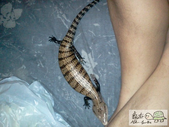 2012-03-16 11.24.13.jpg