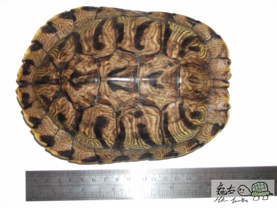 DSCF1117 (1280x960).jpg