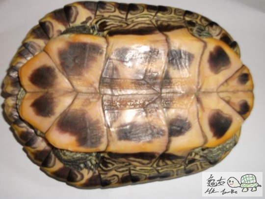 DSCF1118 (1280x960).jpg