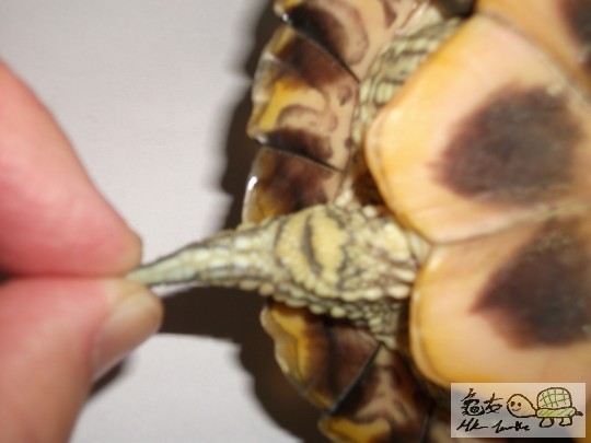 DSCF1130 (1280x960).jpg