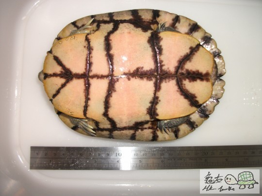 DSCF1151 (1280x960).jpg