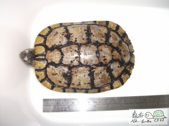 DSCF1153 (1280x960).jpg