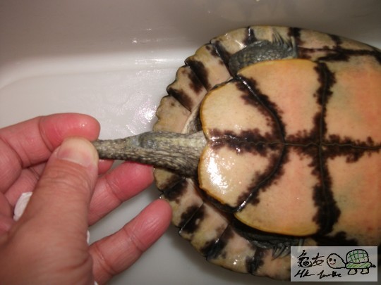 DSCF1154 (1280x960).jpg