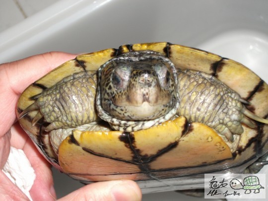 DSCF1162 (1280x960).jpg