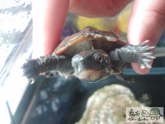 2012-02-15 17.23.13.jpg