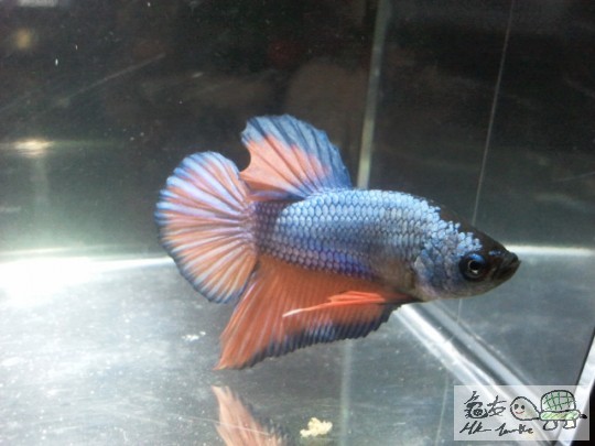 2012-04-14 18.36.41.jpg