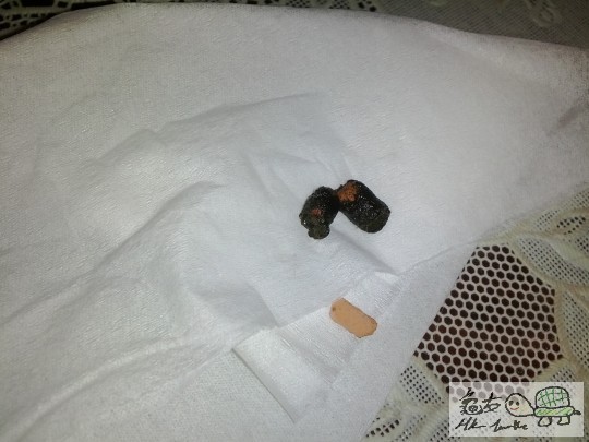 2012-04-28 13.50.33.jpg