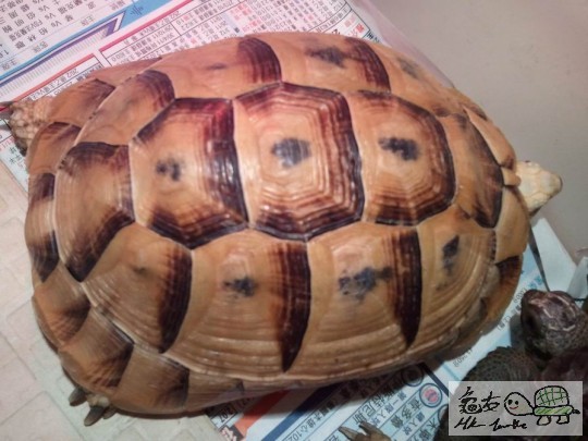 調整大小2012-03-10 21.14.39.jpg