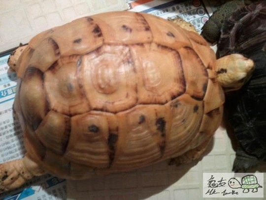 調整大小2012-03-10 21.14.32.jpg