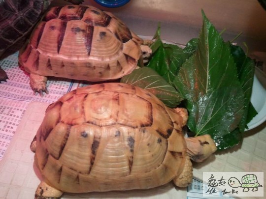 調整大小2012-03-10 21.15.41.jpg