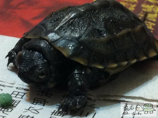 照片.JPG
