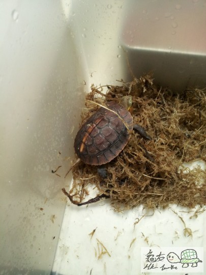 20120502_235924 (复制).jpg