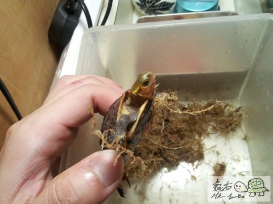 20120503_000010 (复制).jpg