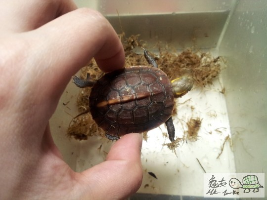 20120503_000024 (复制).jpg