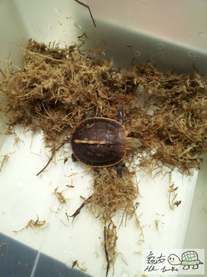 20120503_000243 (复制).jpg