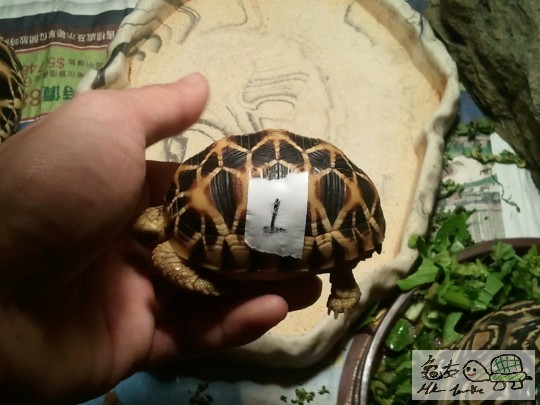 2012-05-08 09.35.25.jpg