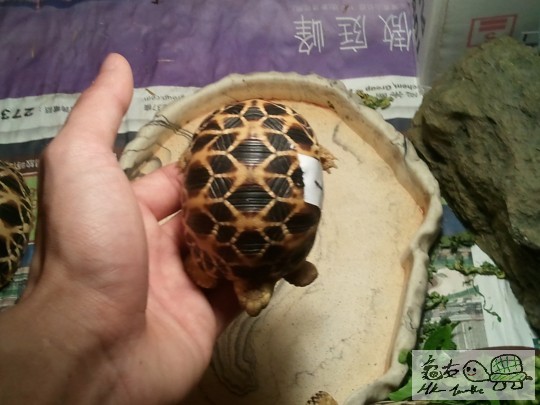 2012-05-08 09.35.36.jpg